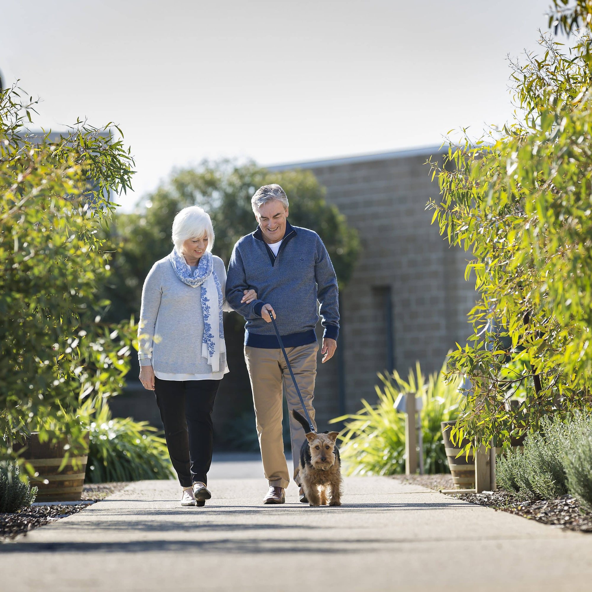 Older man and woman walking their dog outside